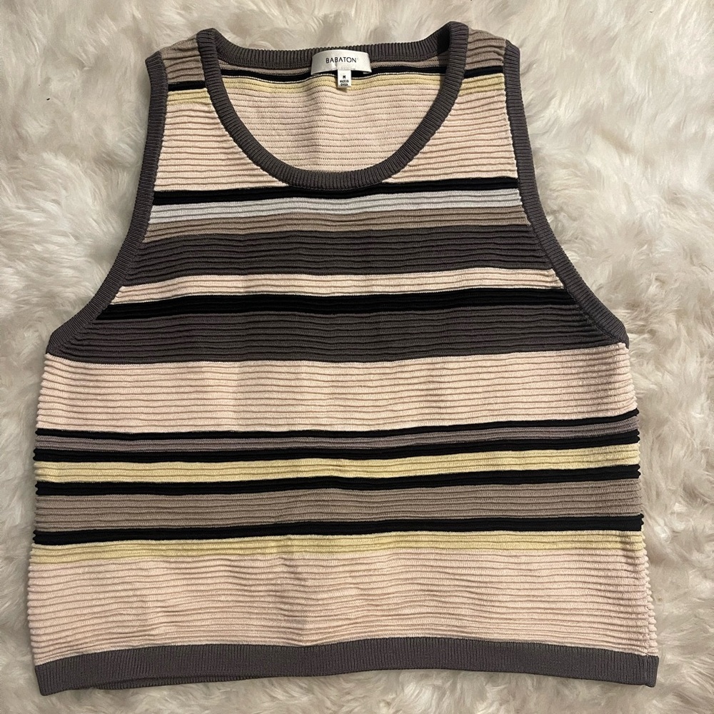 Aritzia Babaton Striped Multicoloured Tank